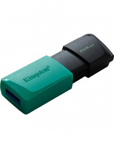 Usb flash drive kingston 256gb data...