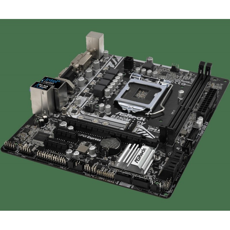 Placa de baza asrock b250m-hdv dual...